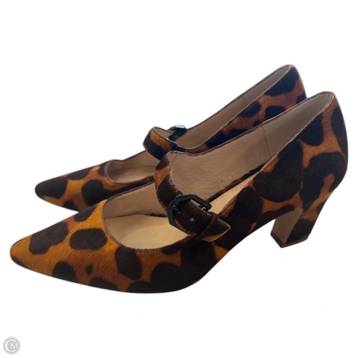 Shoes Heels Block By Louise Et Cie In Animal Print, Size: 11