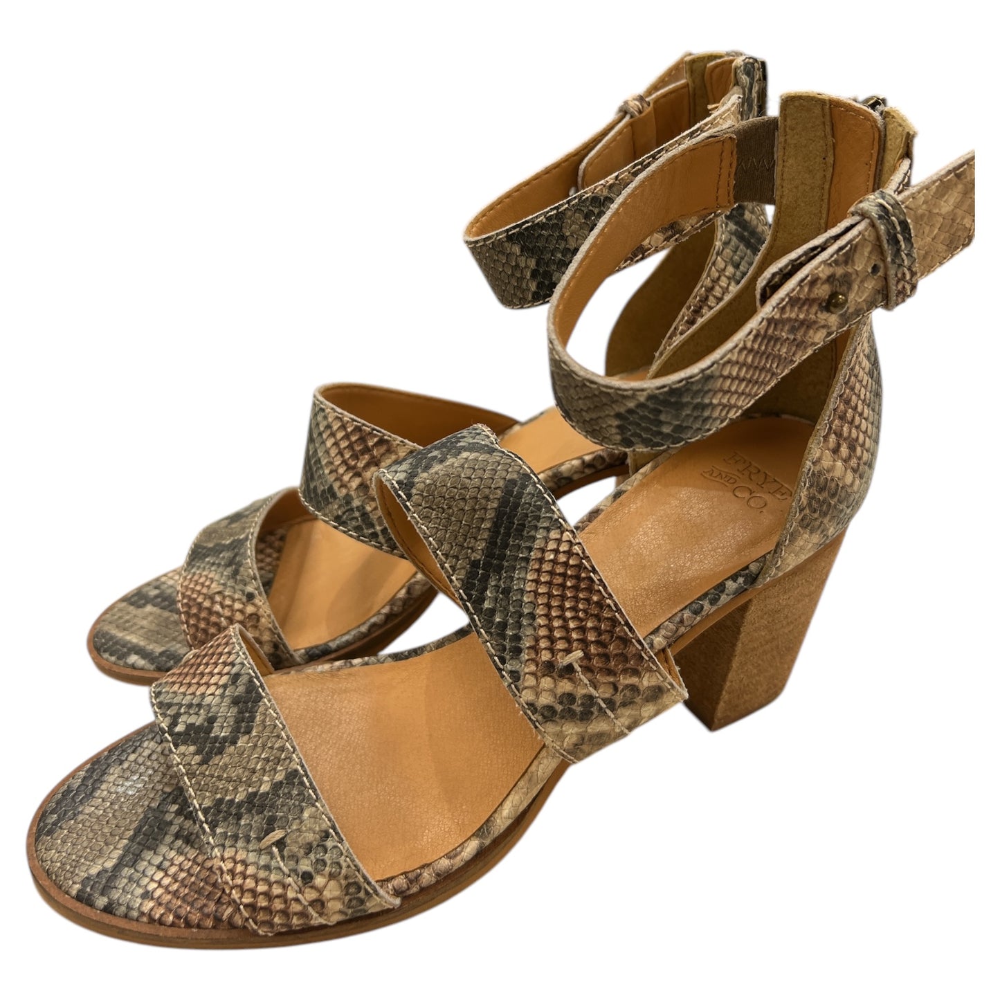 Sandals Designer By Frye In Snakeskin Print, Size:9
