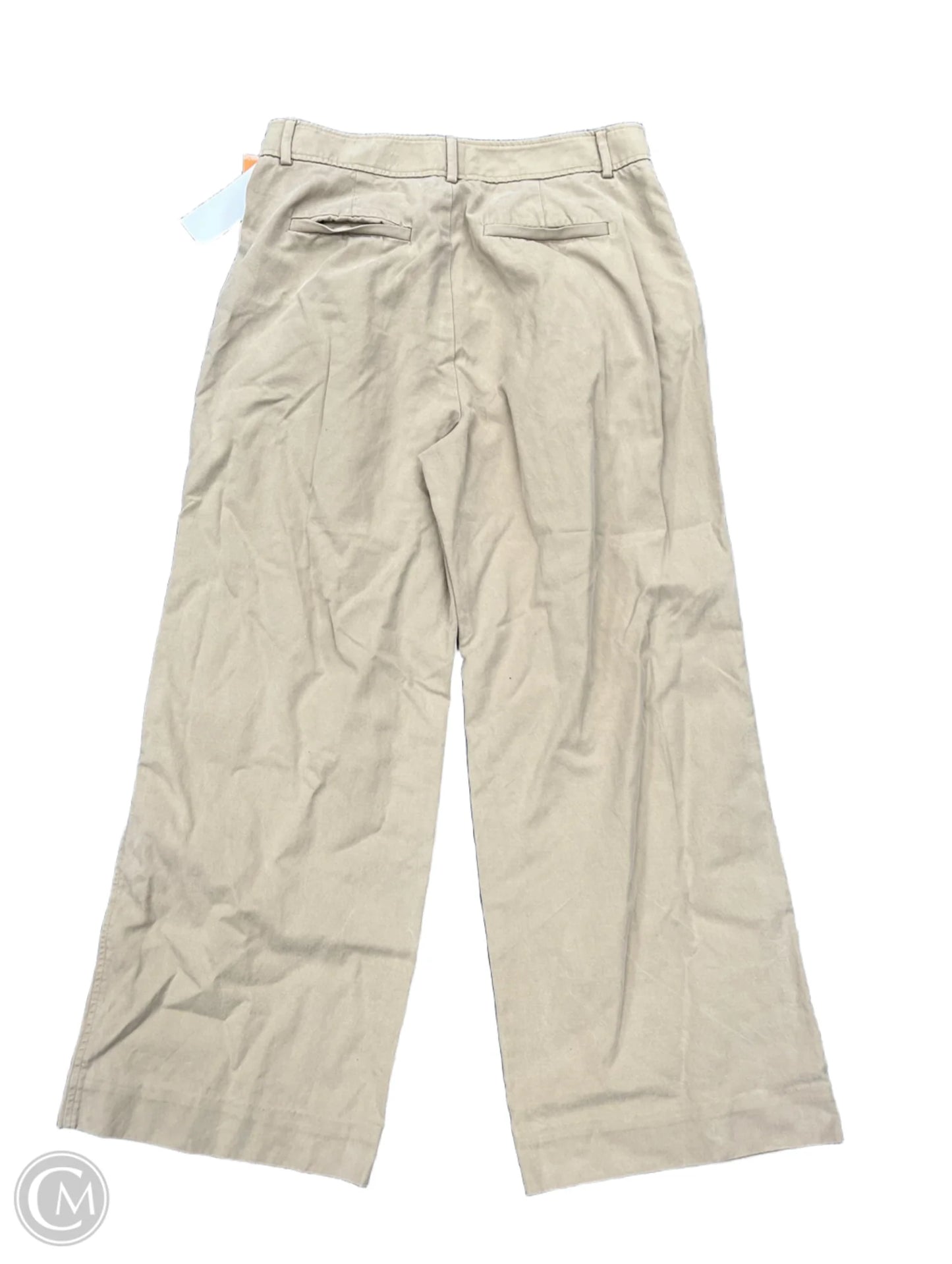 Pants Chinos & Khakis By Everlane In Tan, Size: 12p