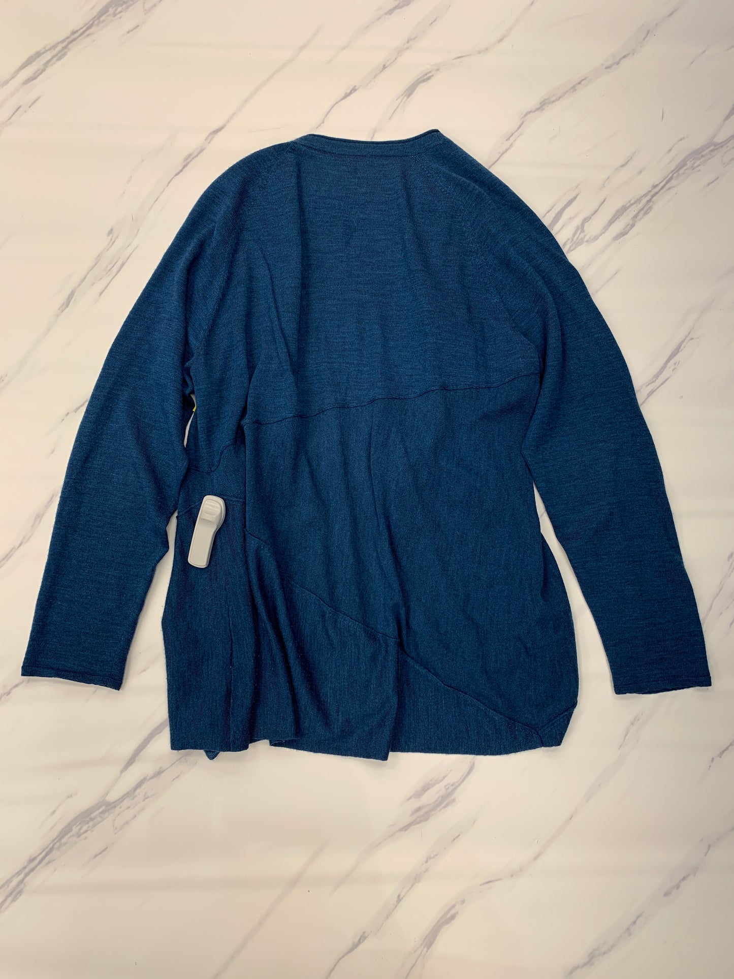 Sweater Cardigan By Eileen Fisher In Blue, Size: Xl