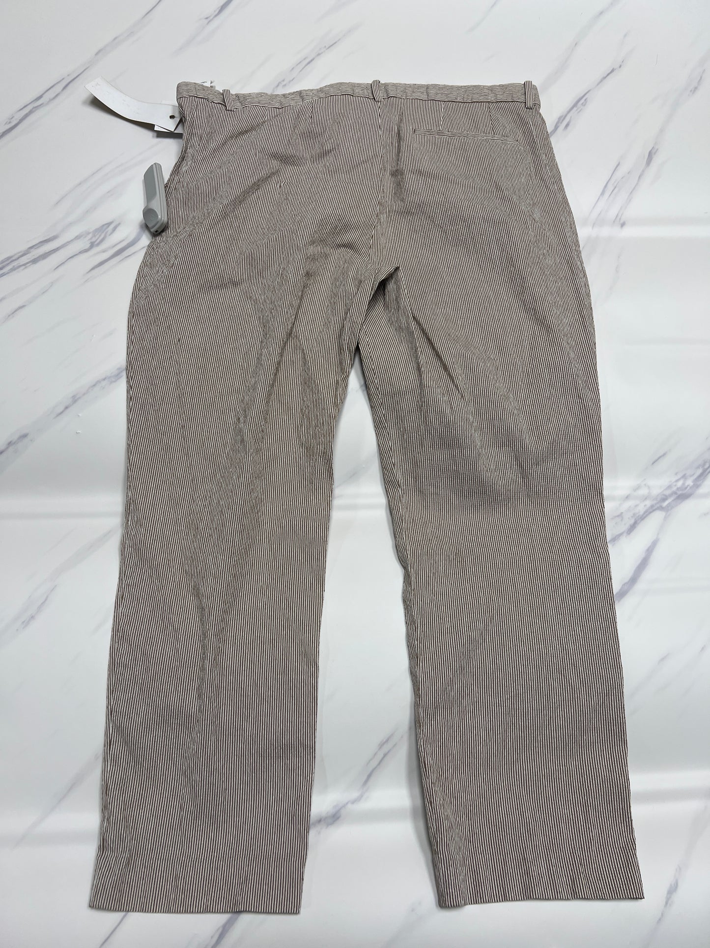 Pants Ankle By Theory  Size: 12