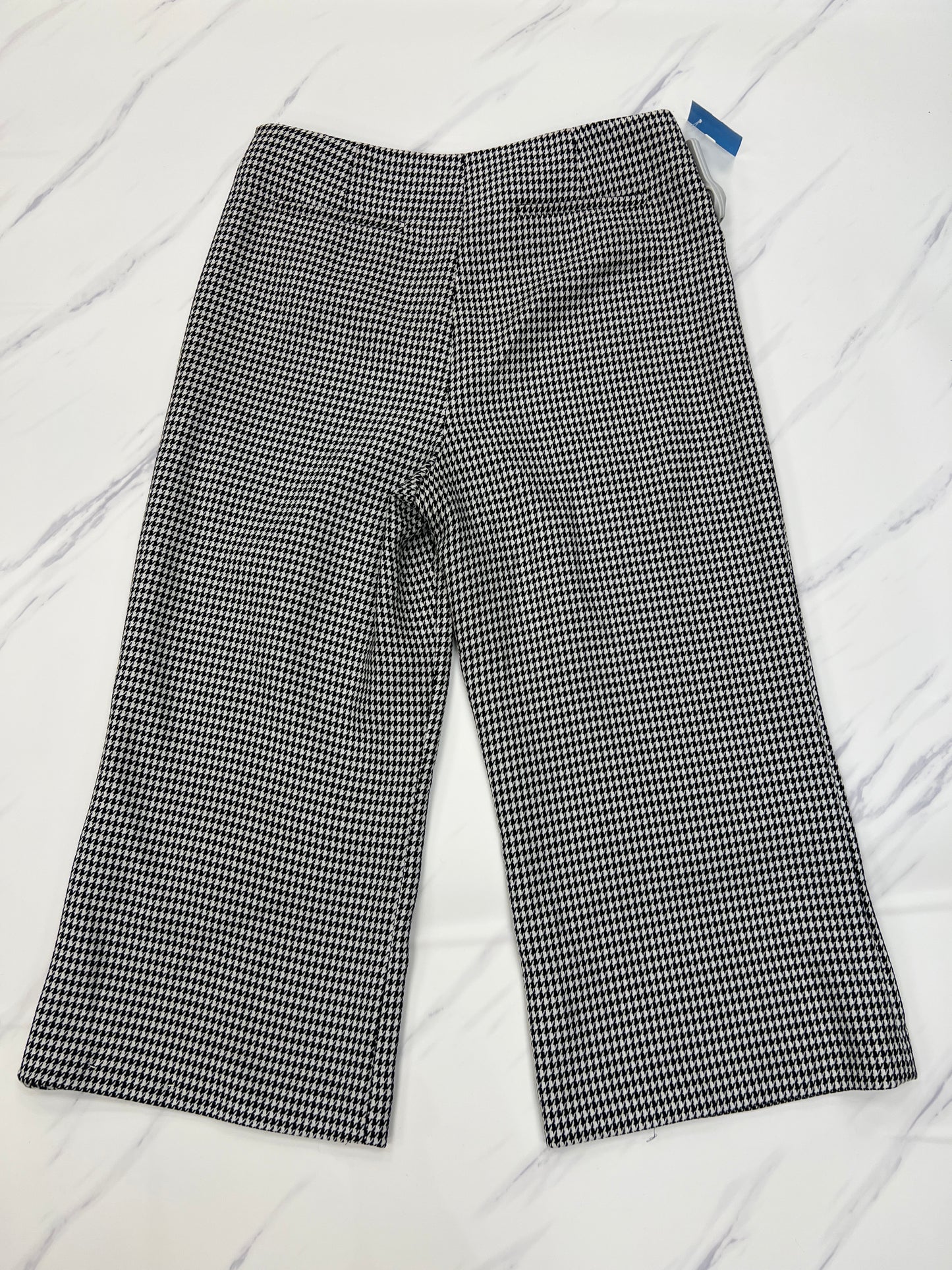 Pants Ankle By Gianni Bini  Size: 12